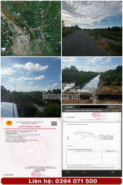 BÁN 3 THỬA ĐẤT – LỘ NHỰA 6M – THÀNH TRUNG, BÌNH TÂN, VĨNH LONG