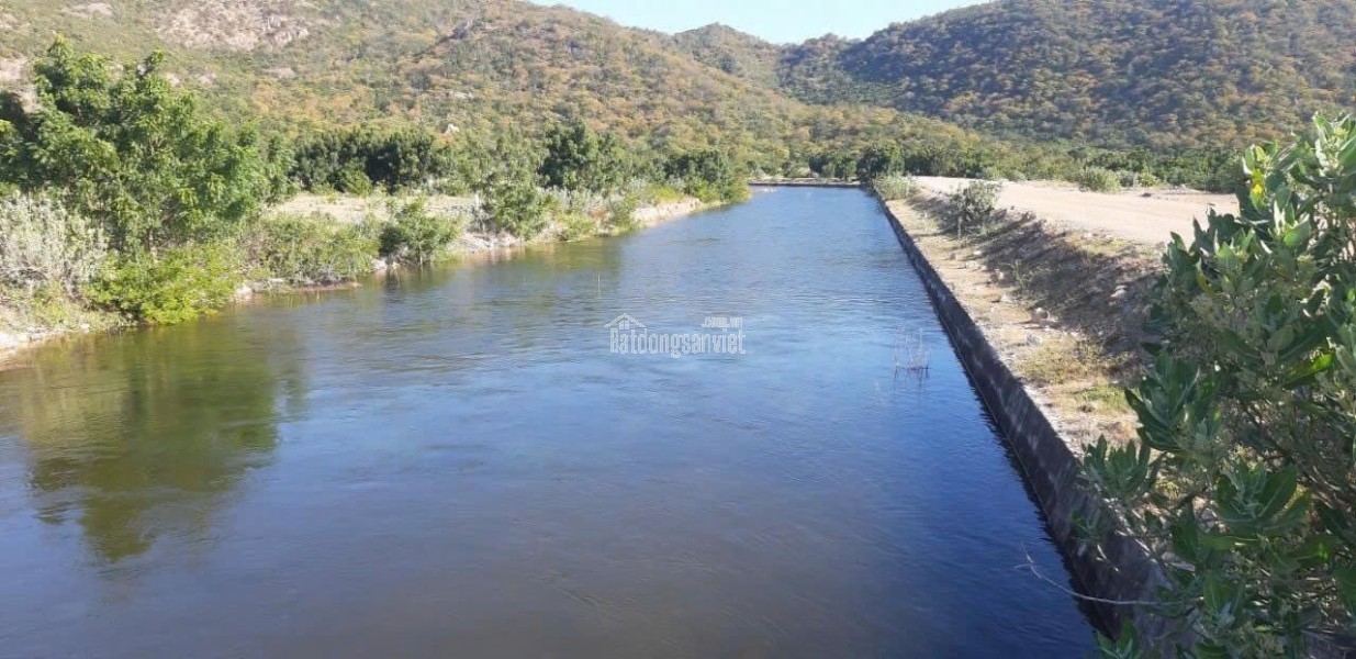 CHÍNH CHỦ CẦN TIỀN HẠ GIÁ BÁN TRANG TRẠI 17.7 Ha TẠI XÃ PHÚ LẠC, TUY PHONG, BÌNH THUẬN (Cũ)