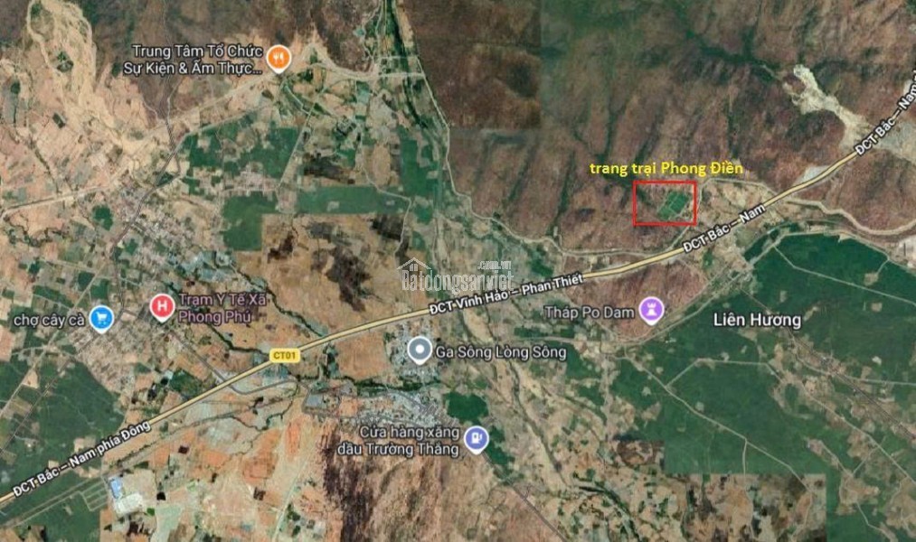 CHÍNH CHỦ CẦN TIỀN HẠ GIÁ BÁN TRANG TRẠI 17.7 Ha TẠI XÃ PHÚ LẠC, TUY PHONG, BÌNH THUẬN (Cũ)