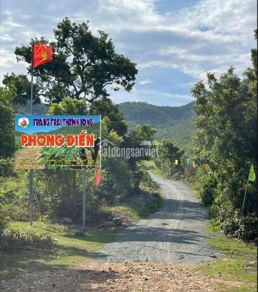 CHÍNH CHỦ CẦN TIỀN HẠ GIÁ BÁN TRANG TRẠI 17.7 Ha TẠI XÃ PHÚ LẠC, TUY PHONG, BÌNH THUẬN (Cũ)
