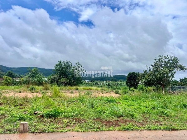 Cần Bán Đất 413m² Có 221m² Thổ Cư, Nở Hậu 13,6m, View Đồi Núi Gần Đường Nhựa