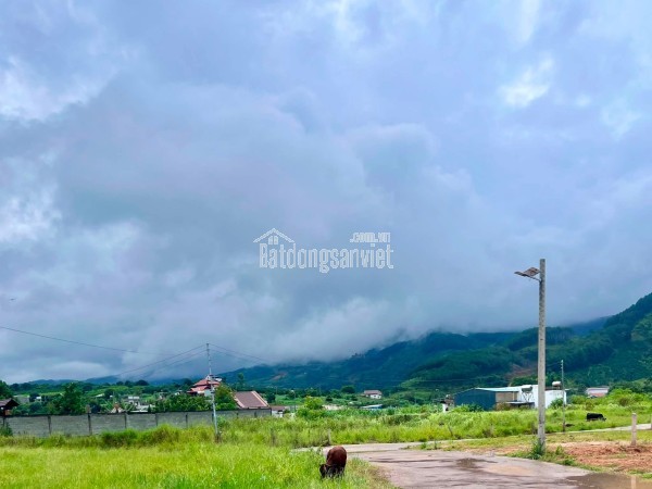 Cần Bán Đất 413m² Có 221m² Thổ Cư, Nở Hậu 13,6m, View Đồi Núi Gần Đường Nhựa