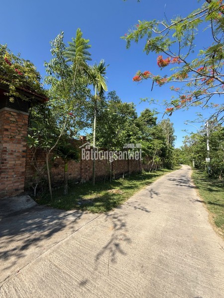 Cần Bán Nhanh Khu đất Nhà Vườn Tại 9 Thôn Kon Xút, xã Đăk Blà, TP. Kon Tum