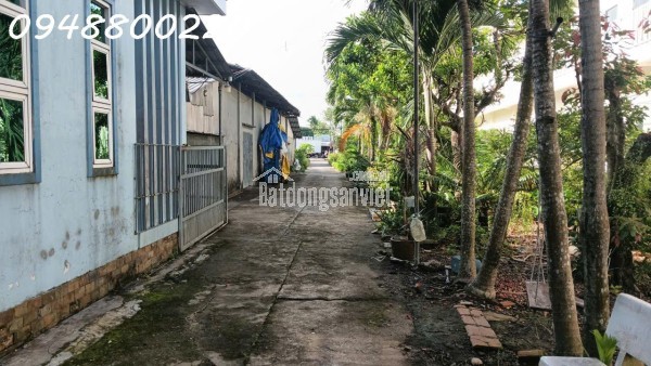 CƠ HỘI VÀNG – HỢP TÁC - SANG NHƯỢNG DỰ ÁN KHU DU LỊCH CANH NÔNG PHƯỜNG LANGBIANG- ĐÀ LẠT
