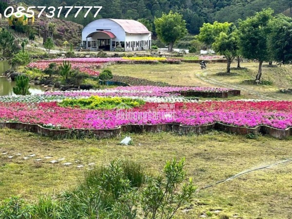 CƠ HỘI VÀNG – HỢP TÁC - SANG NHƯỢNG DỰ ÁN KHU DU LỊCH CANH NÔNG PHƯỜNG LANGBIANG- ĐÀ LẠT