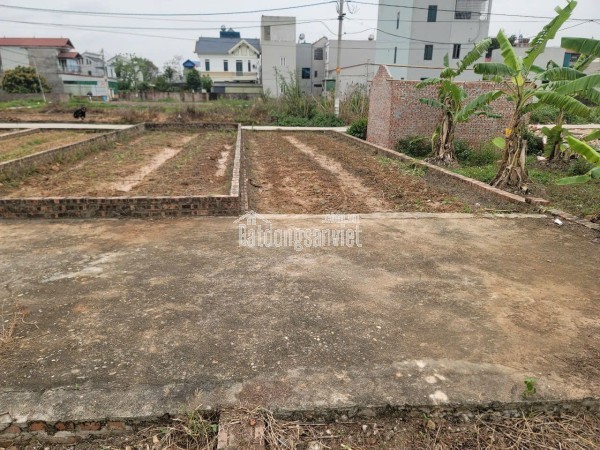 2 MẶT THOÁNG ẤP TRE, QUANG MINH – 58 M² – 3,X TỶ - CHÍNH CHỦ