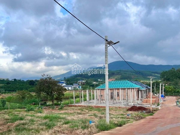 Cần Bán Đất 322m² Có 259m² Thổ Cư, Mặt Tiền 12m, Sẵn Hạ Tầng Xây Nhà