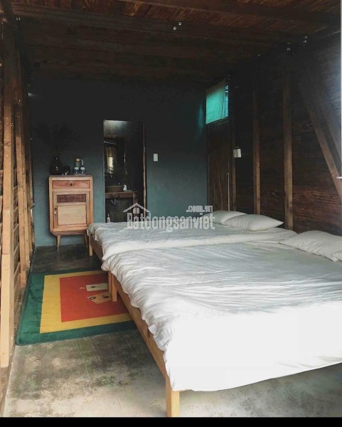 Cho thuê nhà siêu chill đường Hoàng Hoa Thám giá chỉ 15 triệu tại Đà Lạt Lâm Đồng
