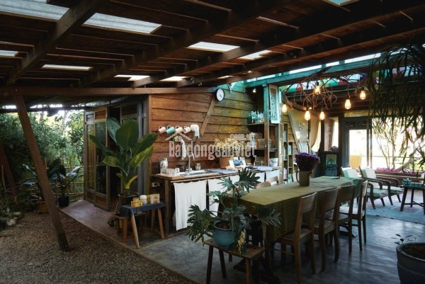 Cho thuê nhà siêu chill đường Hoàng Hoa Thám giá chỉ 15 triệu tại Đà Lạt Lâm Đồng