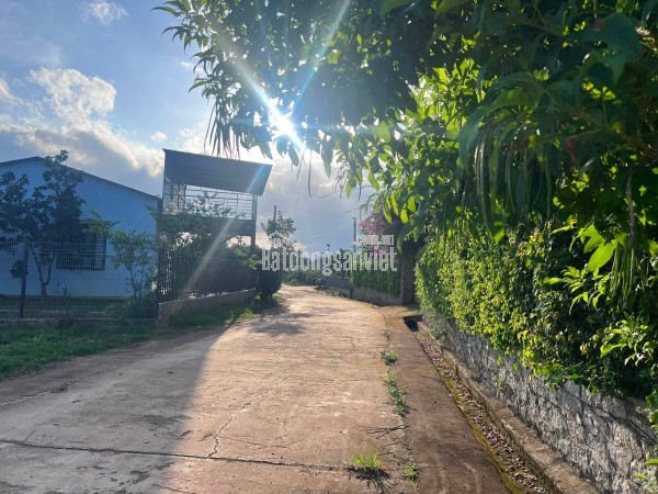 Cần Bán Đất 413m² Có 221m² Thổ Cư, Nở Hậu 13,6m, Gần Đường Nhựa