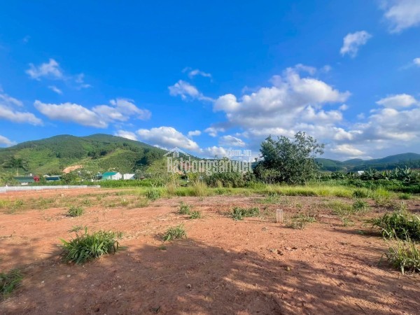 Cần Bán Đất 413m² Có 221m² Thổ Cư, Nở Hậu 13,6m, Gần Đường Nhựa
