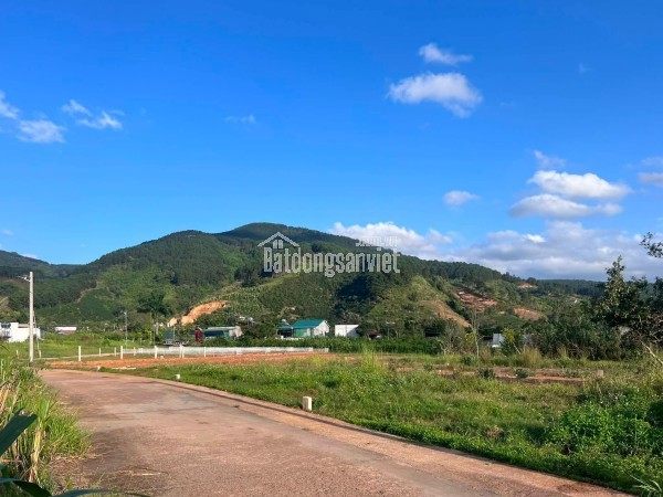 Cần Bán Đất 413m² Có 221m² Thổ Cư, Nở Hậu 13,6m, Gần Đường Nhựa