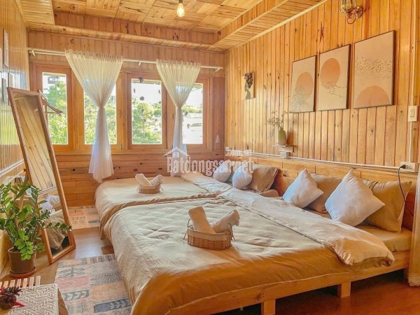 Cần sang nhượng homestay siêu xinh đường Nguyễn Hoàng giá 10 triệu tại Đà Lạt Lâm Đồng