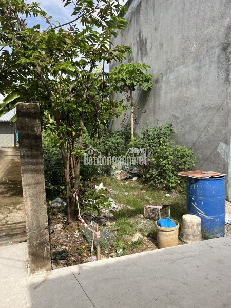 Bán đất KDC Rạch Tôm, Nhơn Đức, Nhà Bè, 8x13m giá 4,4 tỷ