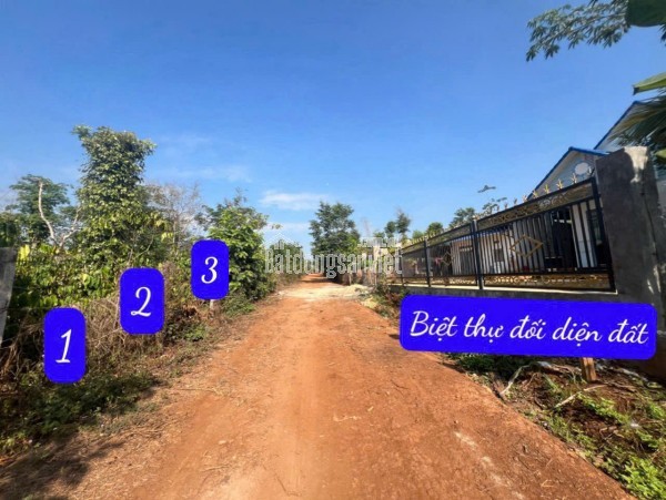 Víp lô đất đáng đầu tư tại Lộc Ngãi- Bảo Lâm cách DT725 chỉ 200m nằm trong khu homestay dân Sài