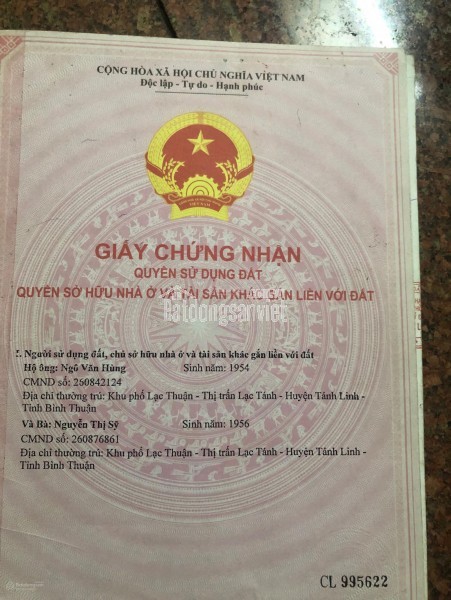 BÁN ĐẤT CAO SU 3HA – THÔN 1, XÃ GIA HUỲNH, HUYỆN TÁNH LINH, BÌNH THUẬN