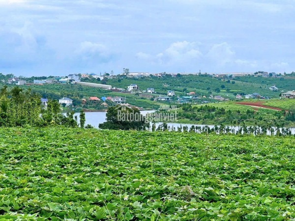 Đà Lạt 2 hồ Phúc Thọ Lâm Hà một chiếc view hồ view biệt thự nghỉ dưỡng mộng mơ giá chỉ 6xxtr lô