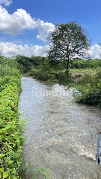 NHÀ KIM CHUNG - HOÀI ĐỨC - NHÀ ĐẸP  LÔ GÓC  - OTO TRÁNH QUA NHÀ