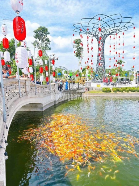 Tôi có lô đất nền tại Danko City – Thái Nguyên, với pháp lý rõ ràng, trao tiền là trao sổ 

Chỉ từ