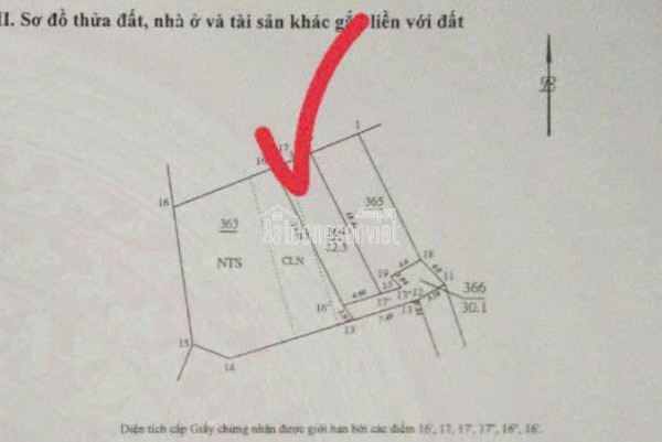 Ngân hàng thanh lý Biệt thự bên đường lê trọng tấn  dương nội hà đông 43.9 tỷ
Nợ bank
Đang kinh