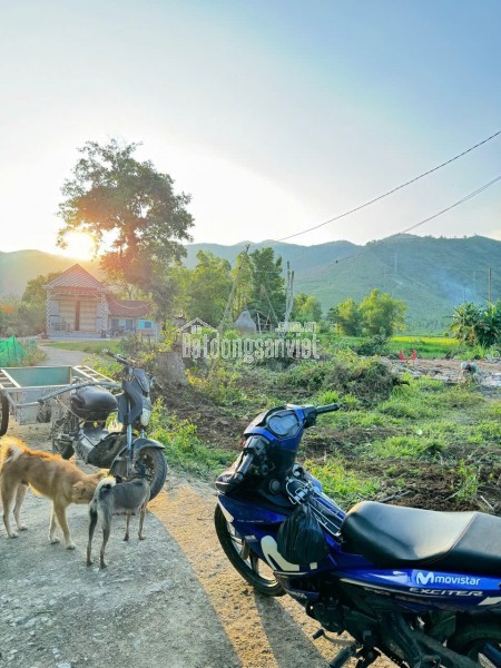 ĐẤT CHÍNH CHỦ - GIÁ TỐT - Vị Trí Đẹp Tại Thôn Hiền Lương, Xã Hiền Ninh, Huyện Sóc Sơn, Thành phố