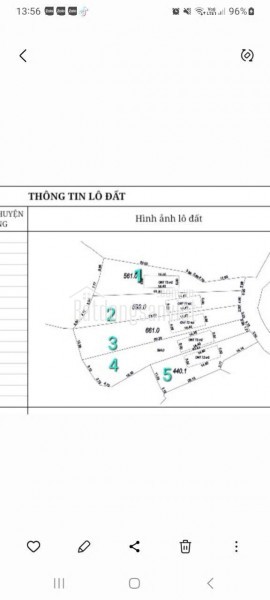 MỞ BÁN GẤP 5 LÔ F0 TẠI THÔN MỊN TO_XÃ TRÙ HỰU_LỤC NGẠN_BẮC GIANG