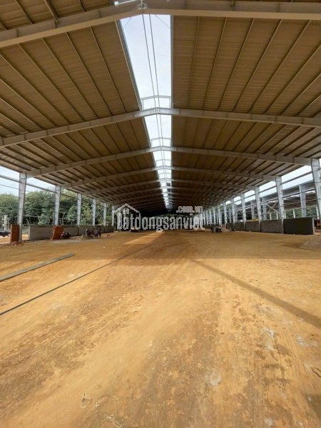 CHO THUÊ KHO XƯỞNG 45000M2 - VỊ TRÍ VÀNG TÂN UYÊN, BÌNH DƯƠNG - GIÁ HỜ 80K/M2 - SỔ ĐỎ