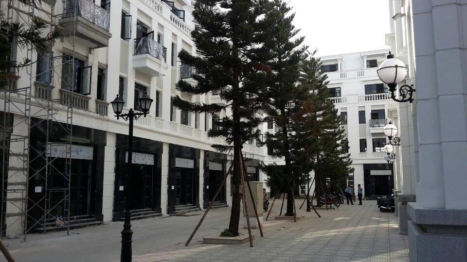 Dự án đang trong giai đoạn hoàn thiện