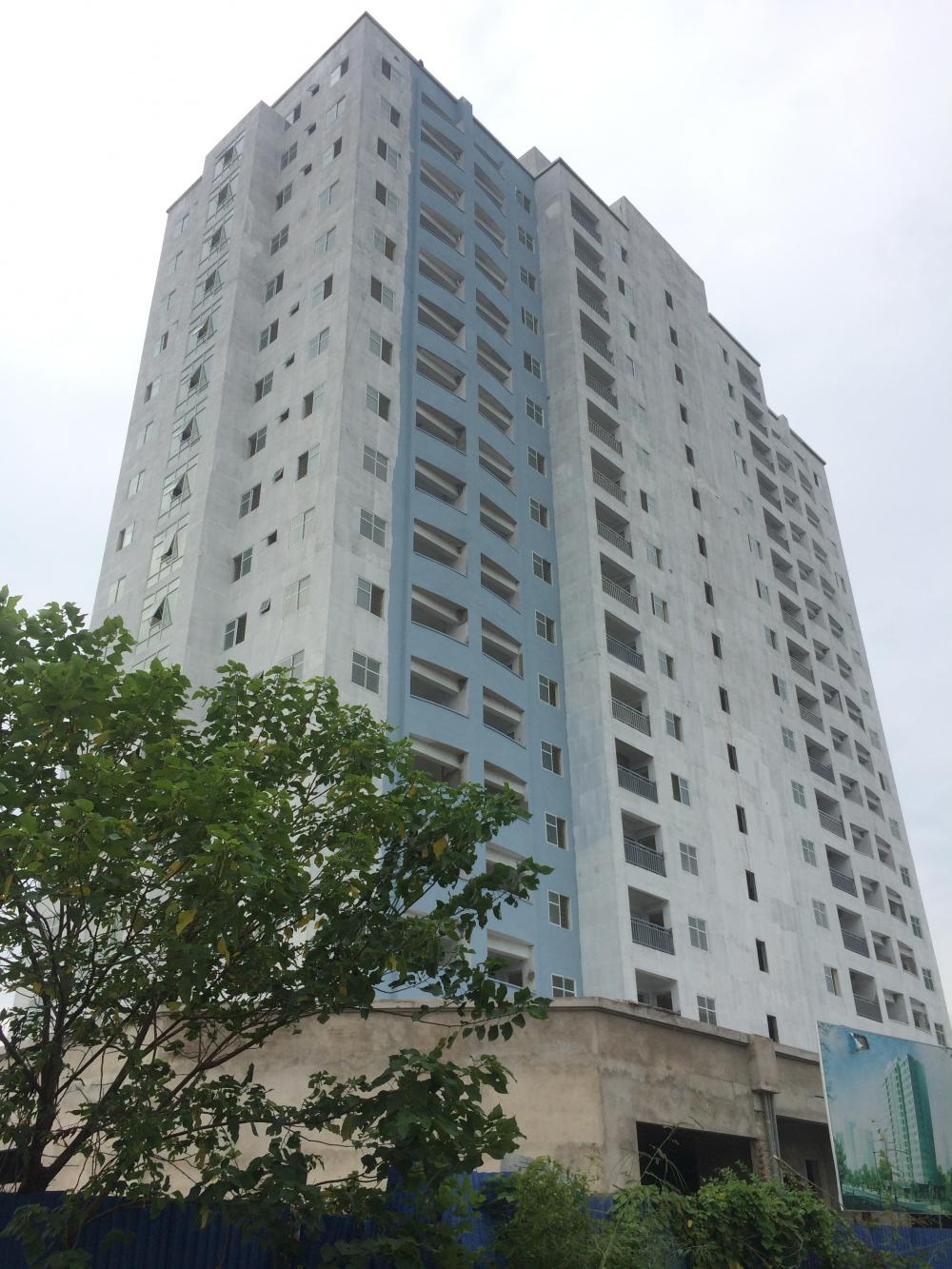 Dự án đang sơn và lắp xong cửa kính