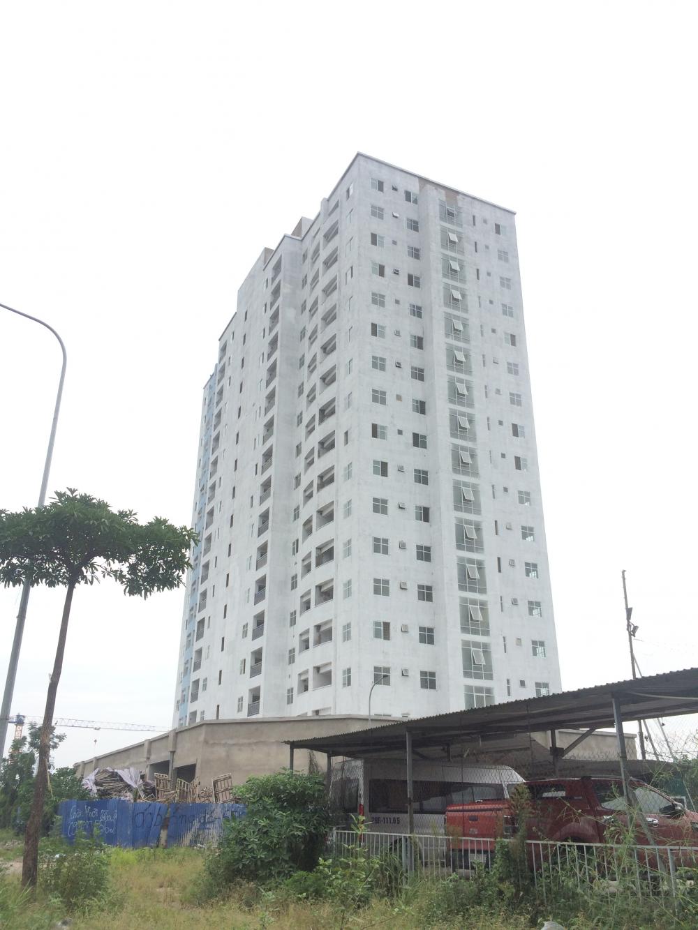 Dự án đang sơn và lắp xong cửa kính