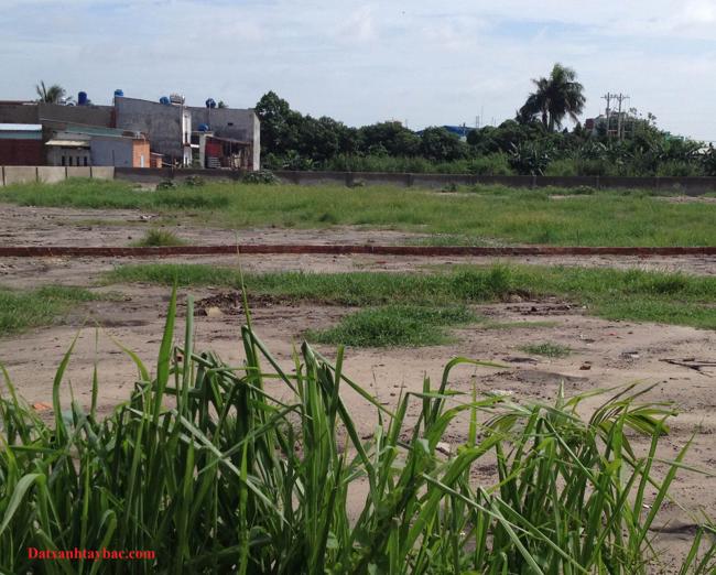 Dự án đã bàn giao