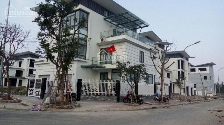 Hình ảnh thực tế dự án